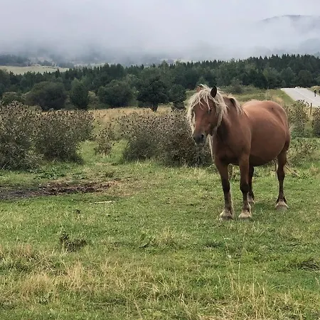 Hauzify I Cal Couqui Err