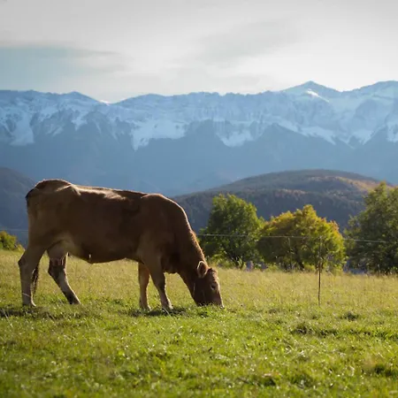 Hébergement de vacances Hauzify I Cal Couqui