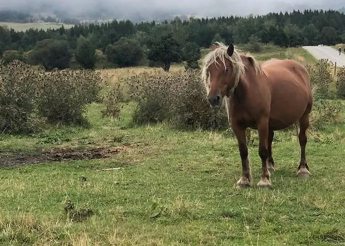 Hauzify I Cal Couqui Err